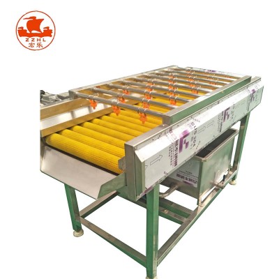 06 Fruit And Vegetable Potato Washing And Peeling Machine Red Dates Brush Washing Machine