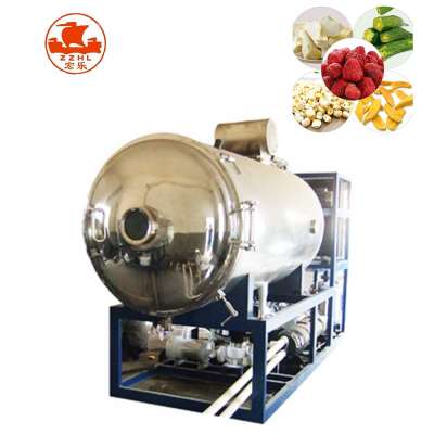 Factory Price Freeze Tunnel Equipment For Frozen Lobster Jackfruit Chips Dried Fruit Vacuum Freezer